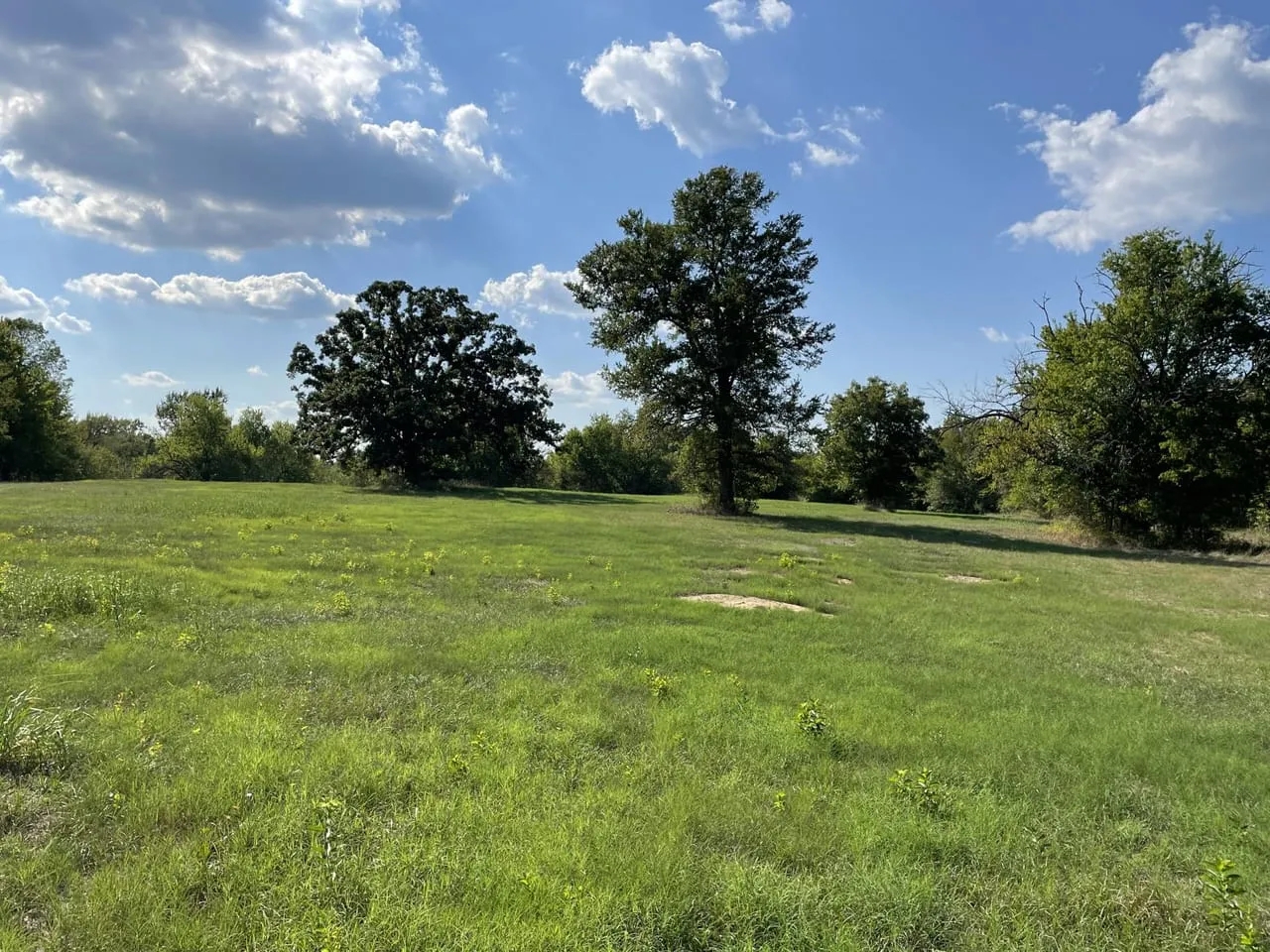 PRIME Building Rolling Hill Tracts Choctaw County OK Tract 6 Hunting