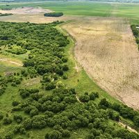 Itasca Tract 10 11 Acres Only 15K Down images 4