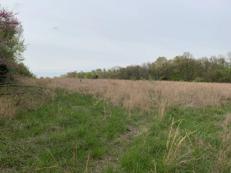 Nice smaller tract near Shawnee Forest Hunting Land for Sale