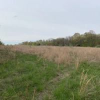 Nice smaller tract near Shawnee Forest