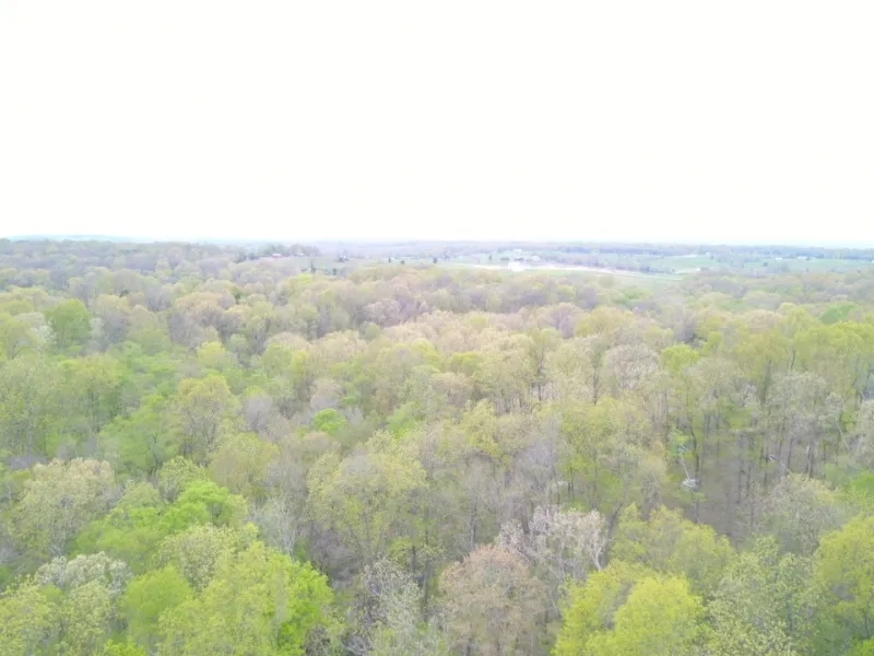 Nice smaller tract near Shawnee Forest Hunting Land for Sale