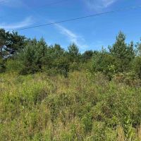 10 acres Hunting Land and Recreational Land in Friendship NY White Creek Rd Lot 1 with Owner Financing Available images 5