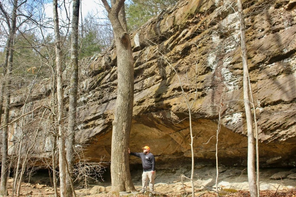 Ozark Bluff Top Paradise featured image