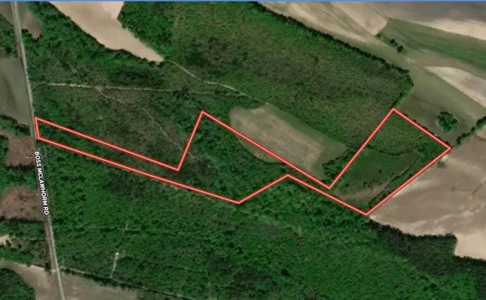 25.22 acres of Recreational Timber Land For Sale in Pitt County NC featured image
