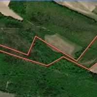 25.22 acres of Recreational Timber Land For Sale in Pitt County NC