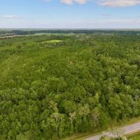 25.22 acres of Recreational Timber Land For Sale in Pitt County NC images 3