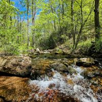 -585 Acres of Recreational Residential Investment Mountain Land For Sale in Patrick County VA images 2