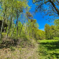 -585 Acres of Recreational Residential Investment Mountain Land For Sale in Patrick County VA images 4