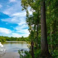Old River Road Tract images 2