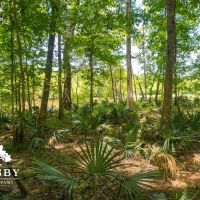 Old River Road Tract images 3
