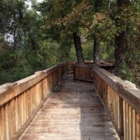 11,900 Acres Deep Fork WMA of Turkey and Deer Hunting Land in Okfuskee, OK