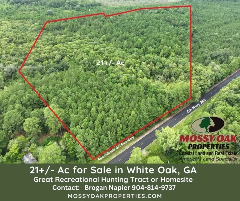 21 - Acres with Mature Timber for sale in Camden County GA featured image