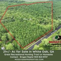 21 - Acres with Mature Timber for sale in Camden County GA