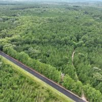 21 - Acres with Mature Timber for sale in Camden County GA images 3