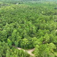 21 - Acres with Mature Timber for sale in Camden County GA images 5