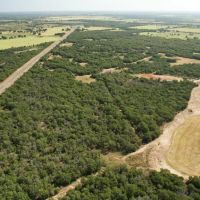 95 Acres Cisco TX images 4