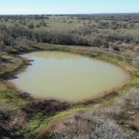 90 Acres Gonzales County images 2
