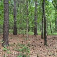 - 5.26 Acres Tract 1 Sitton Hill Road Easley SC images 5