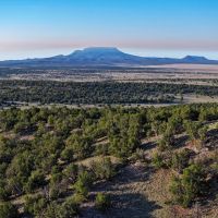 X Spear Elk Cattle Ranch