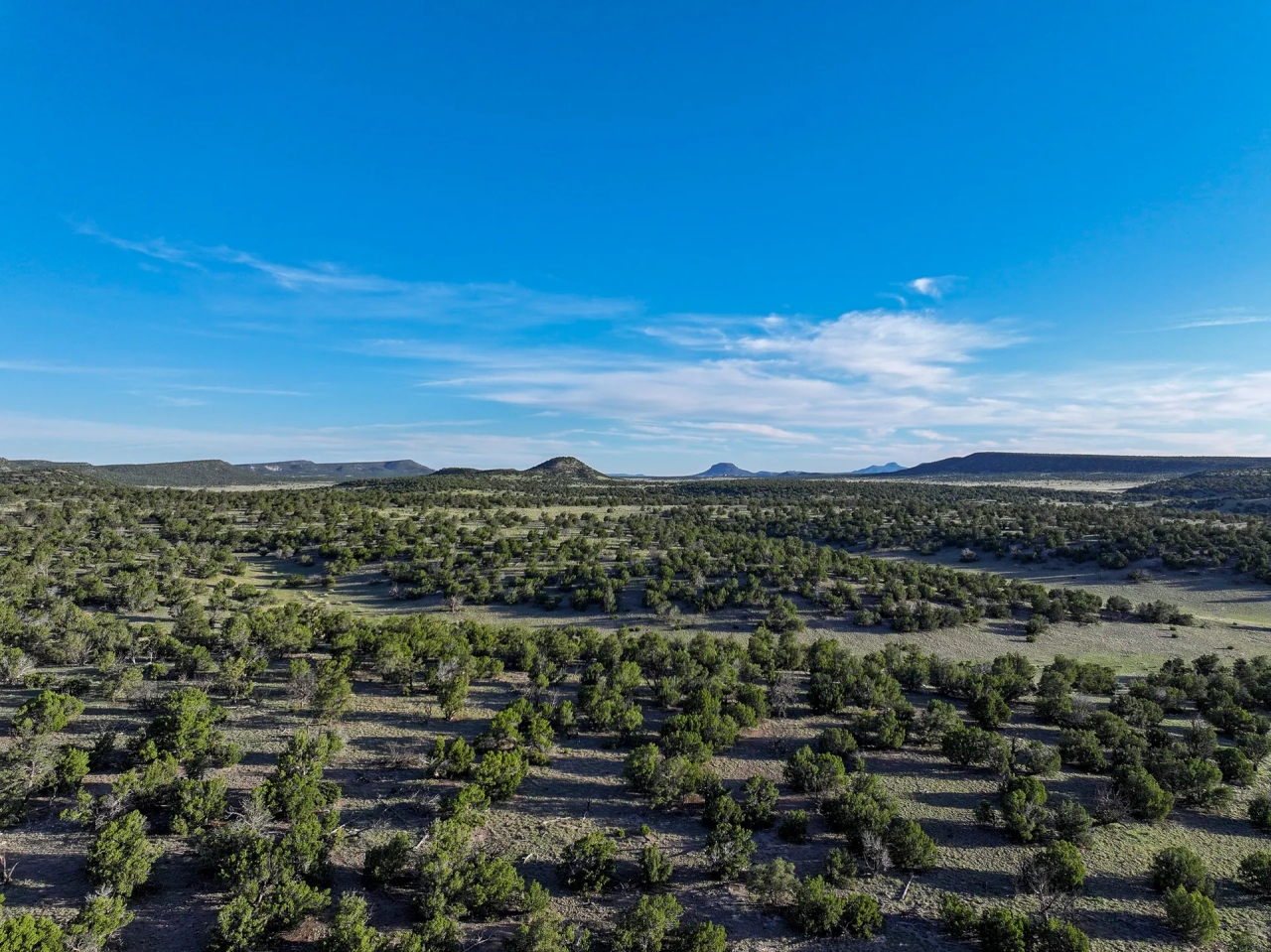 X Spear Elk Cattle Ranch Hunting Land for Sale