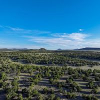 X Spear Elk Cattle Ranch images 2