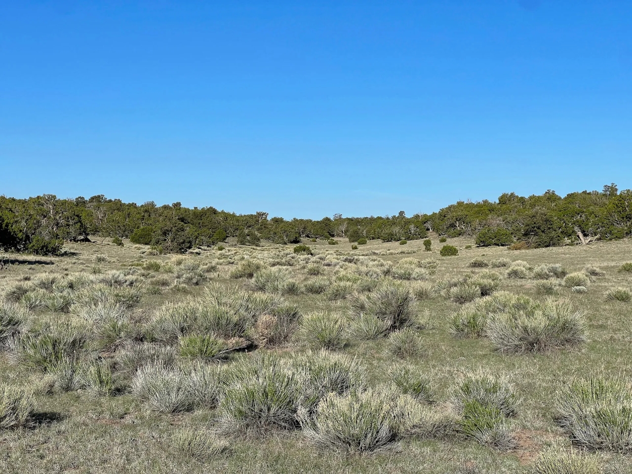 X Spear Elk Cattle Ranch Hunting Land for Sale