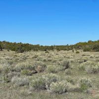 X Spear Elk Cattle Ranch images 4