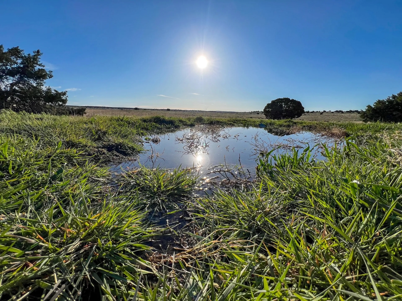 X Spear Elk Cattle Ranch Hunting Land for Sale