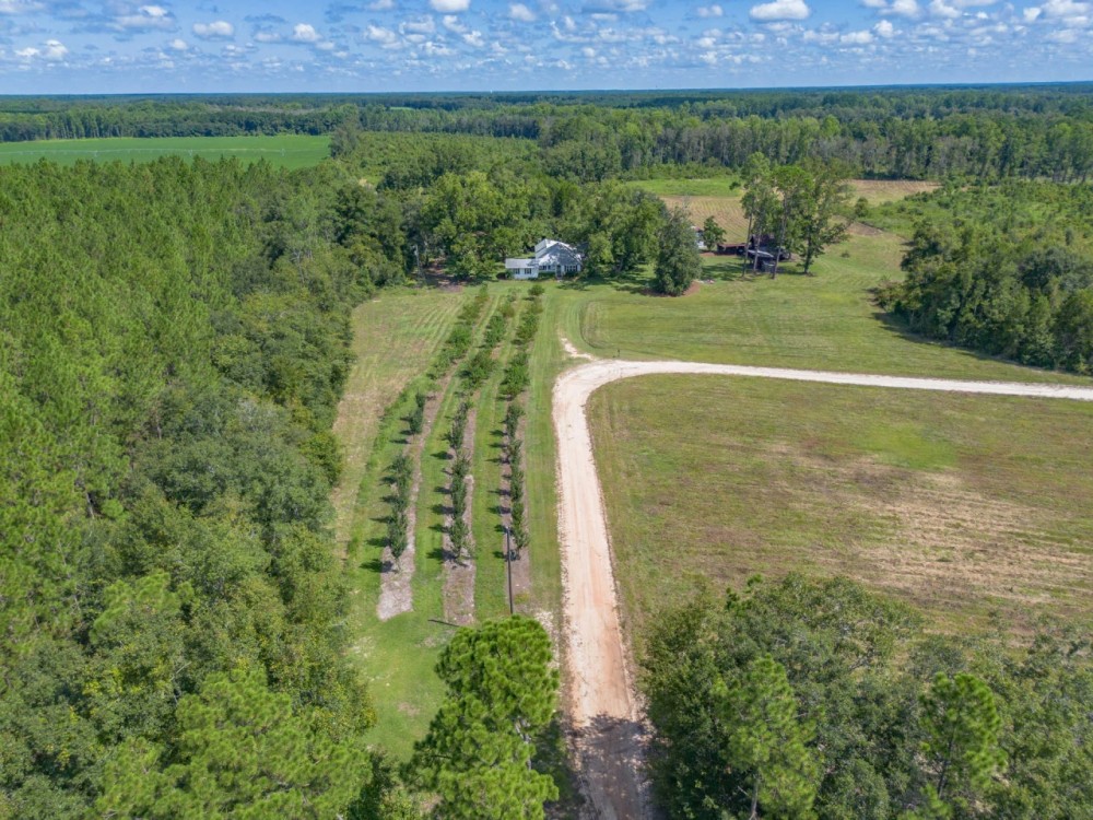 Historic Homestead on 65 Acres Your Country Retreat Awaits featured image