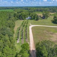 Historic Homestead on 65 Acres Your Country Retreat Awaits