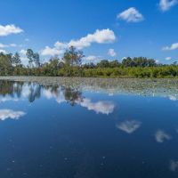 Historic Homestead on 65 Acres Your Country Retreat Awaits images 3