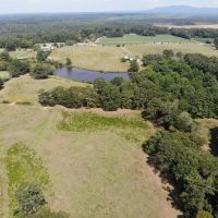 31-004-ballplay-farm images 2