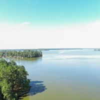 146 Acres FM 355