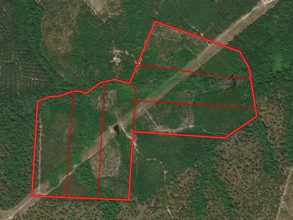118.6 acres of Hunting Land For Sale in Richmond County NC featured image