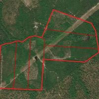 118.6 acres of Hunting Land For Sale in Richmond County NC