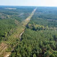 118.6 acres of Hunting Land For Sale in Richmond County NC images 2