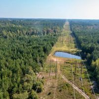118.6 acres of Hunting Land For Sale in Richmond County NC images 3