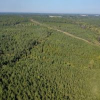 118.6 acres of Hunting Land For Sale in Richmond County NC images 4