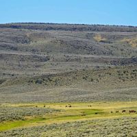 K Ranch images 3