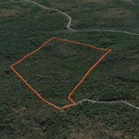 57 acre Hunting Land Next to State Land Diana NY images 4