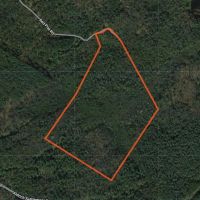 57 acre Hunting Land Next to State Land Diana NY images 5
