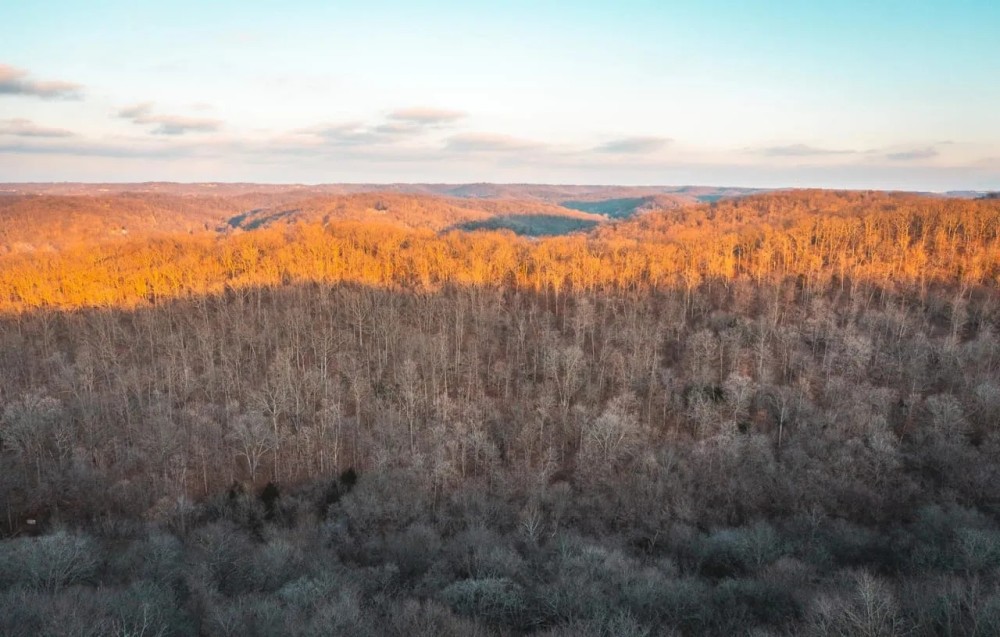House Springs Hollow featured image