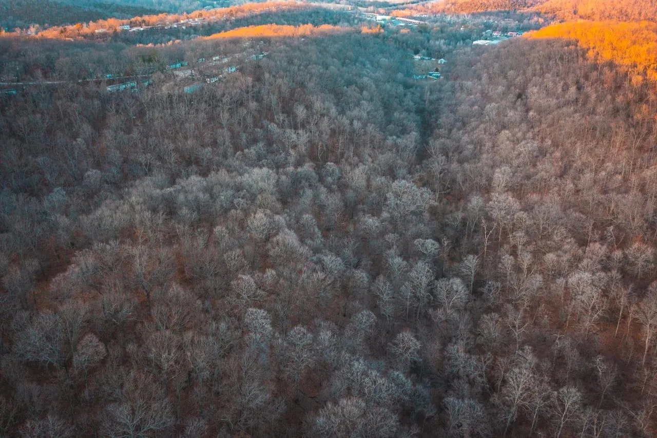 House Springs Hollow Hunting Land for Sale