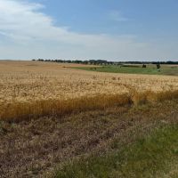 Dewey County Land
