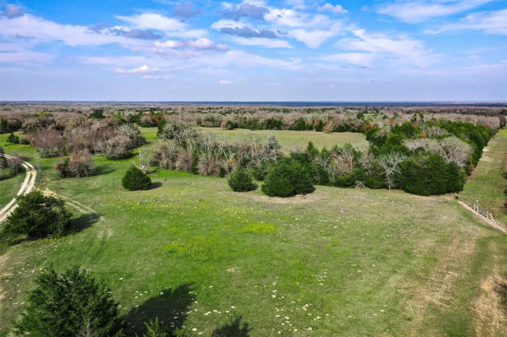 55.5 - Acres Limestone County TX featured image