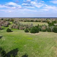 55.5 - Acres Limestone County TX