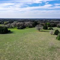 55.5 - Acres Limestone County TX images 2