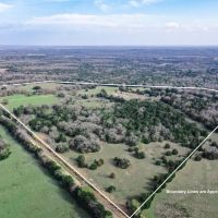 55.5 - Acres Limestone County TX images 4