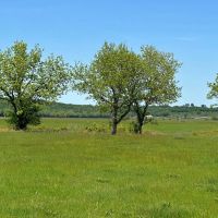 990 - Acres Horton Cattle Ranch Holdenville OK images 3