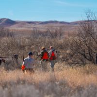 MV2 Ranch images 4